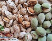 تصویر 3 از بادام منقا مرغوب خرید به صرفه